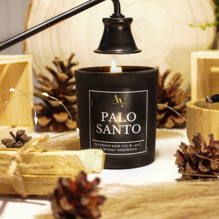 Świeca Palo Santo AV Light Candle z kolekcji EMBER – czarne matowe szkło, naturalna scenografia z szyszkami